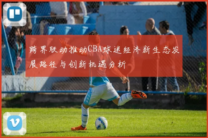 跨界联动推动CBA球迷经济新生态发展路径与创新机遇分析